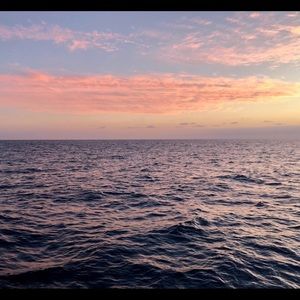 Meet your Posher, Traci lin